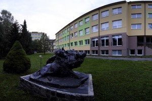 ls33.jpg