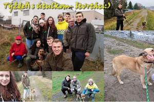 stvrtaci2.jpg